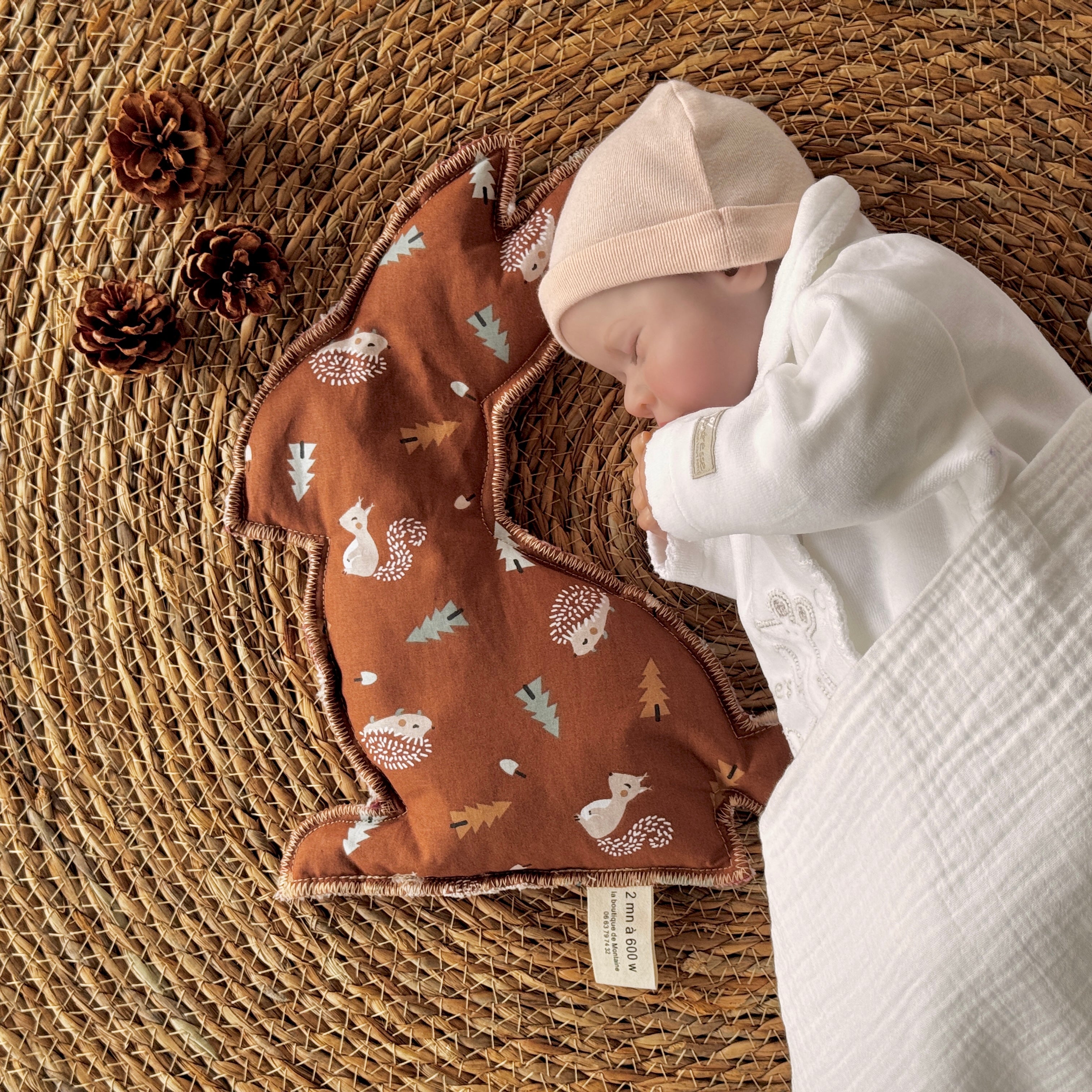 Bouillotte Lapin forêt écureuil hérison