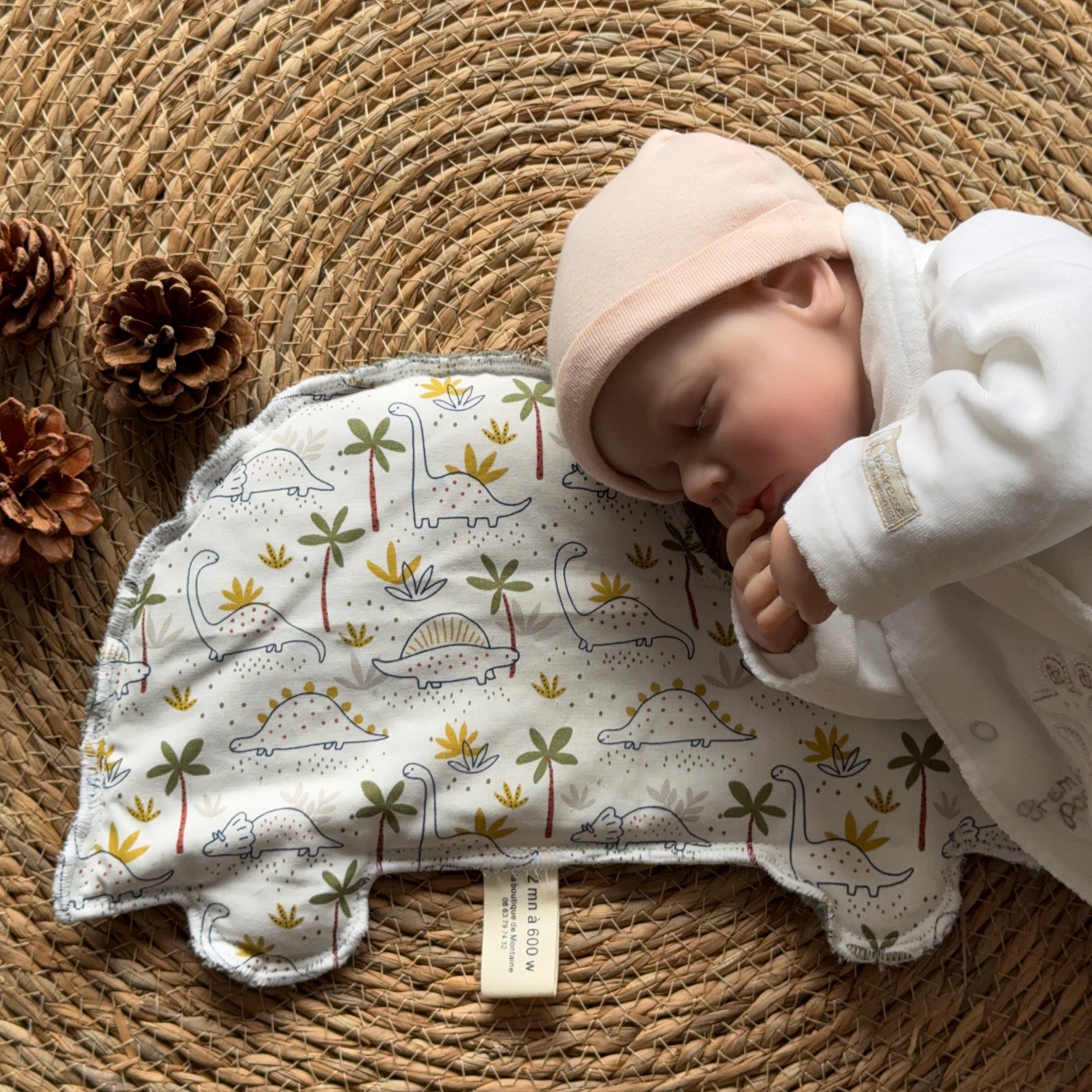 Bouillotte Voiture dinosaure palmier/cactus/vert/blanc
